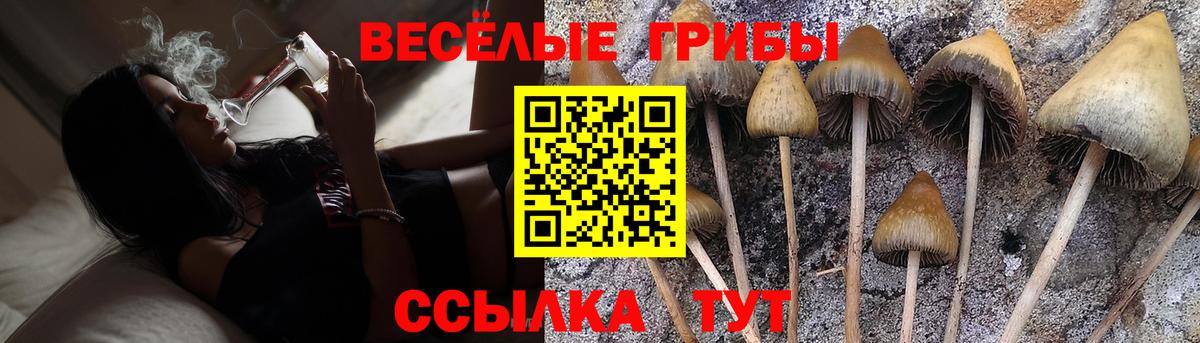 Кыштым  Галлюциногенные грибы Magic Shrooms  что такое наркотик  Вход с VPN 