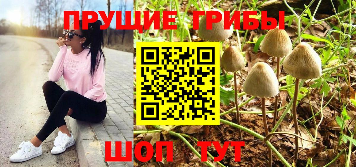 Галлюциногенные грибы ЛСД Кыштым