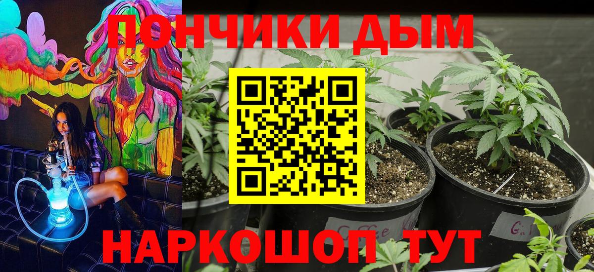 Канабис индика Кыштым